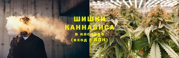 бошки Гусев