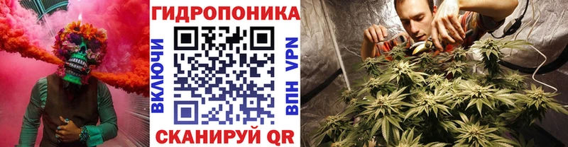 Канабис VHQ Великий Устюг